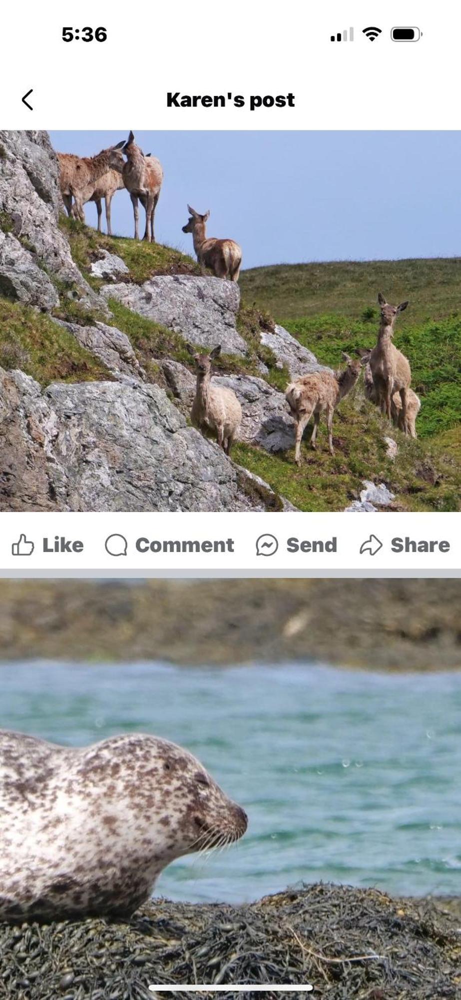 Seas The Day - Self Catering Lodge North Uist Paible Esterno foto